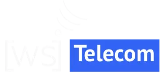 Web-Singularity Networks